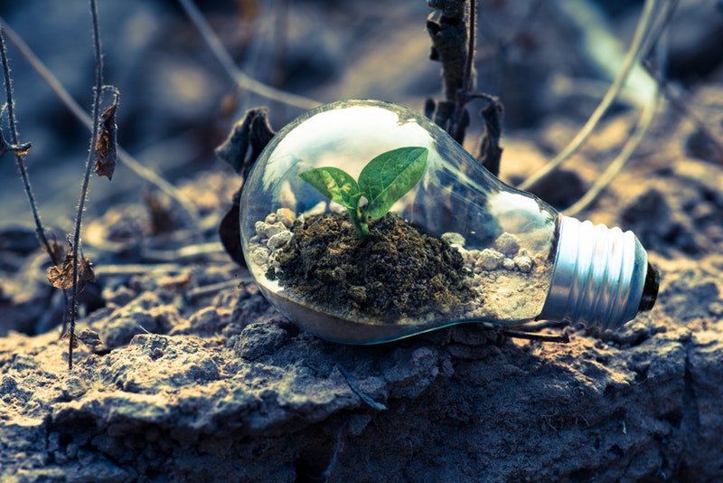 ecosostenibilità-aziendale_sostenibilità-imprese